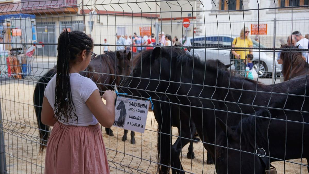 Uno de los apartados más destacado de la feria ha sido siempre la muestra equina