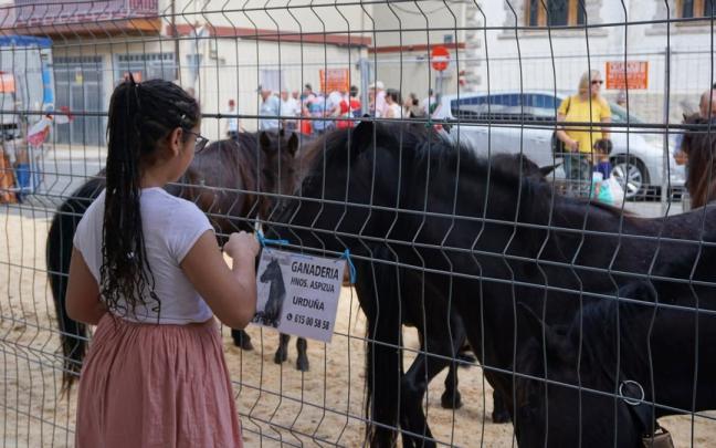 Uno de los apartados más destacado de la feria ha sido siempre la muestra equina