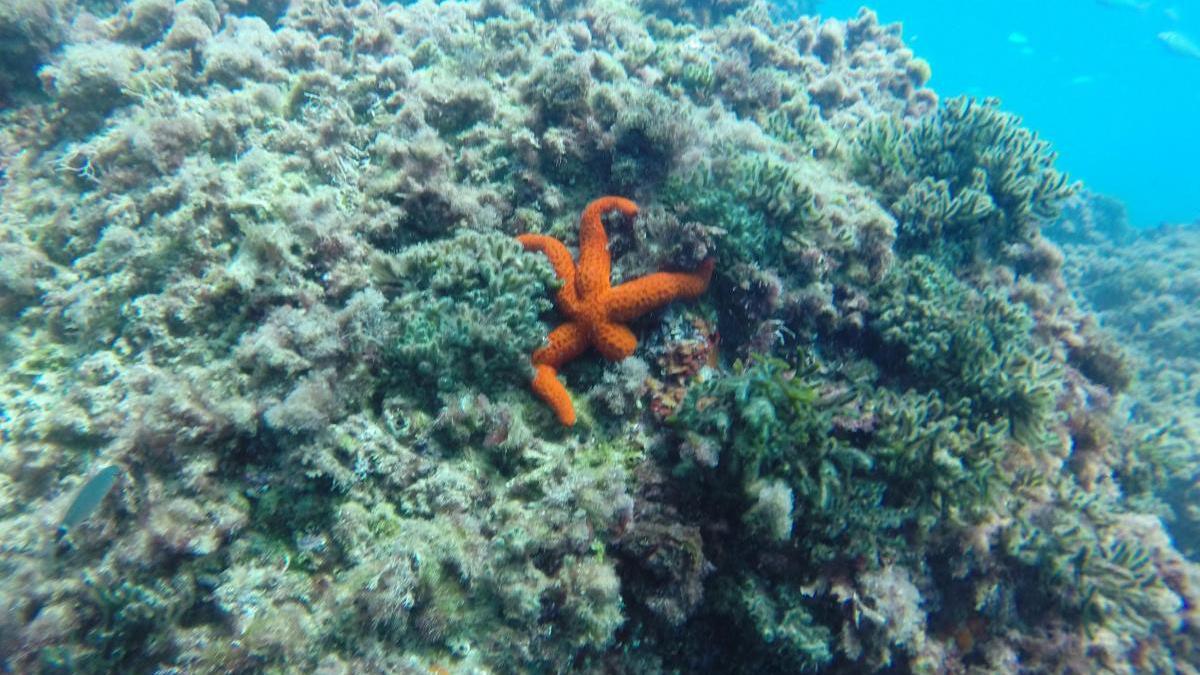 Ametlla de Mar, Tarragona, en Catalun݃a.