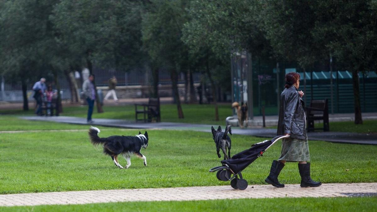 Un persona en el parque de Judimendi de Vitoria