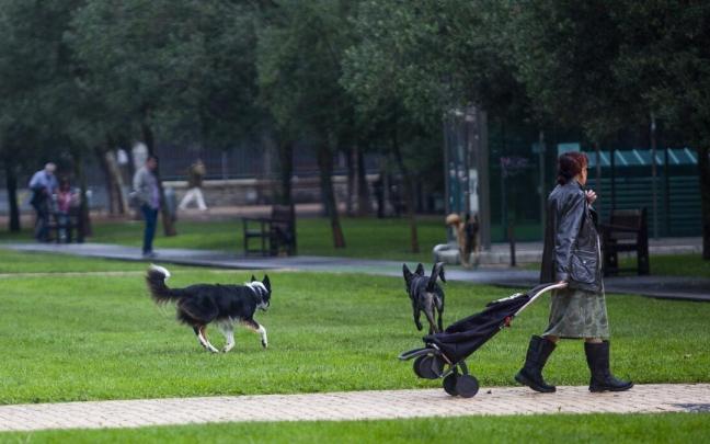 Un persona en el parque de Judimendi de Vitoria Un persona en el parque de Judimendi de Vitoria