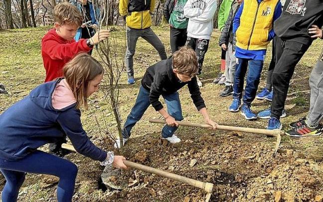 Estudiantes plantando los árboles en Sagastiguti. | FOTO: N.G.