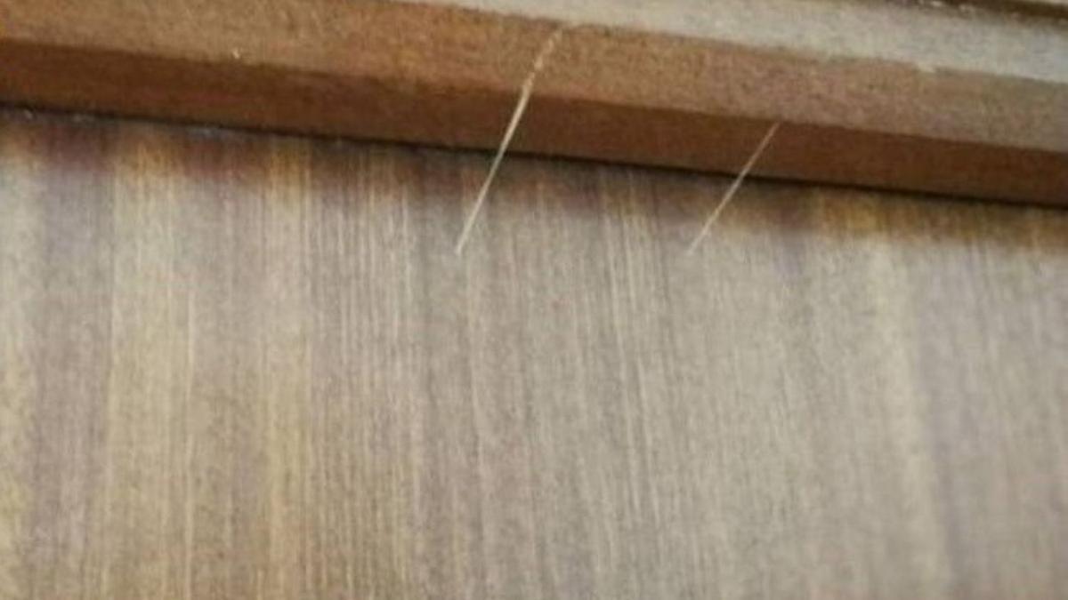 Finas hebras de silicona que los ladrones utilizan para marcar la vivienda y comprobar si están ocupadas o las personas que la habitan están fuera