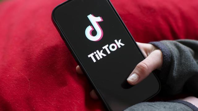 Las familias denuncian que TikTok "explota la fragilidad" de los adolescentes.