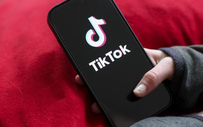 Las familias denuncian que TikTok "explota la fragilidad" de los adolescentes.