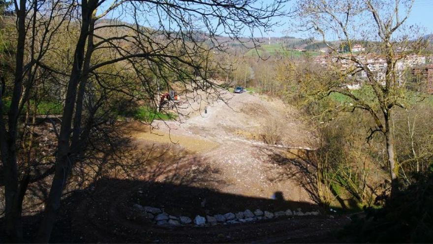 El entorno que se va a convertir en un bosque.