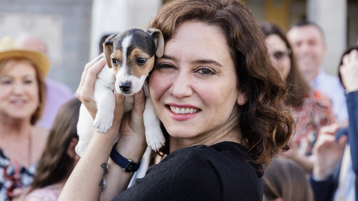 La presidenta de la Comunidad de Madrid, Isabel Díaz Ayuso, durante un reciente acto de precampaña.
