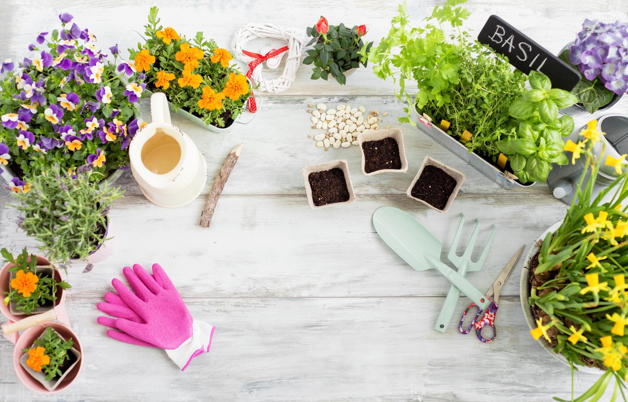 Un kit de jardinería ideal para los aficionados a las plantas.