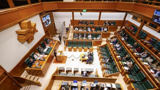 El Pleno de la Cámara ha rechazado tramitar la ILP para establecer un SMI propio en Euskadi