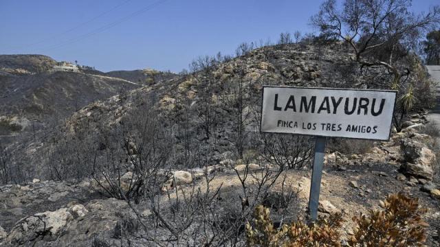 Una zona afectada por el incendio en Los Gallardos, Almería.