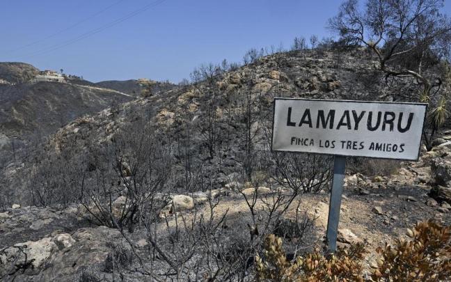 Una zona afectada por el incendio en Los Gallardos, Almería.