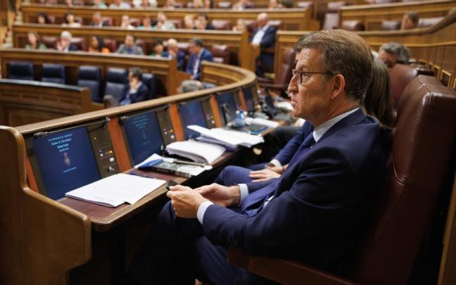 El presidente del PP, Alberto Núñez Feijóo, durante la sesión plenaria en la se aprobó el uso de las lenguas cooficiales en el Congreso. El presidente del PP, Alberto Núñez Feijóo, durante la sesión plenaria en la se aprobó el uso de las lenguas cooficiales en el Congreso.