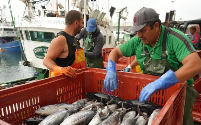Una vez de que el producto llega a las lonjas, comienza toda la gestión para pesarlo, organizarlo por lotes homogéneos y etiquetarlo con todo detalle.