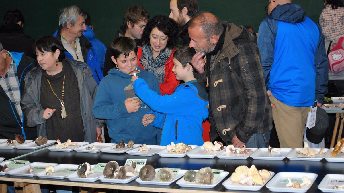 Muestra micológica de Arriola en el frontón municipal de Amurrio una pasada edición