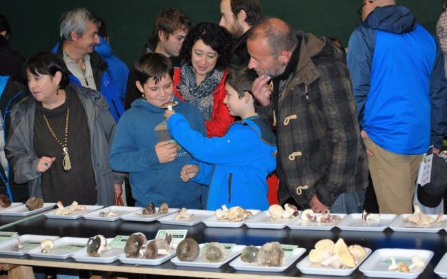 Muestra micológica de Arriola en el frontón municipal de Amurrio una pasada edición