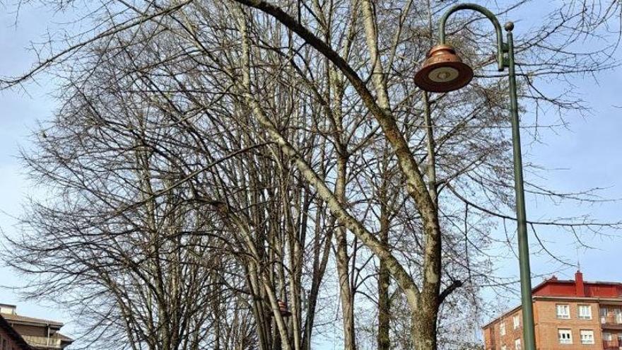 LED sistemako farolak Elias Salaberria etorbidean.