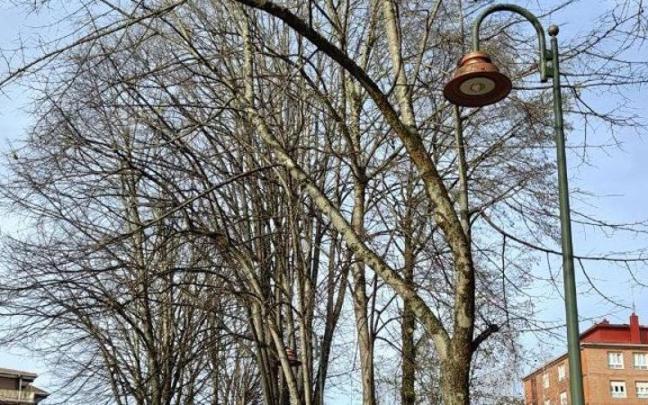 LED sistemako farolak Elias Salaberria etorbidean.