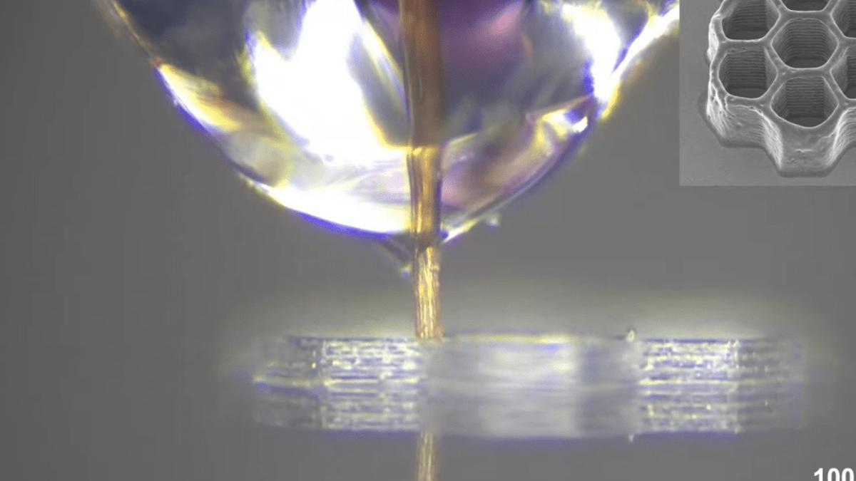 La trompa del mosquito puede funcionar como una boquilla natural para imprimir estructuras de tamaño microscópico.