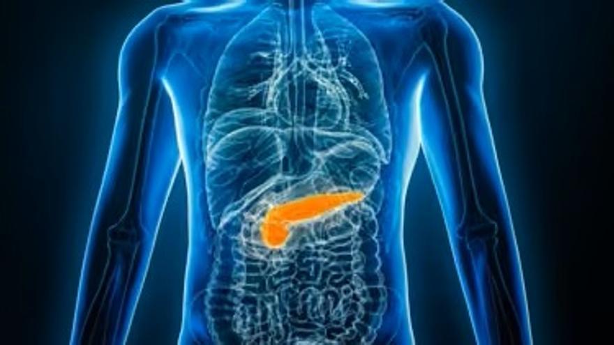 Identificada una molécula que protege al páncreas de la toxicidad asociada a la diabetes tipo 2