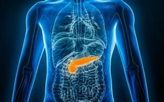 Identificada una molécula que protege al páncreas de la toxicidad asociada a la diabetes tipo 2