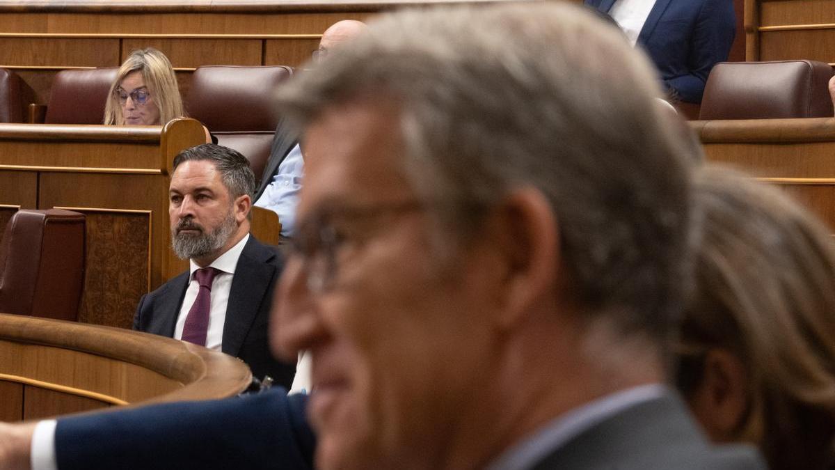 El líder de Vox, Santiago Abascal, y el del PP, Alberto Núñez Feijóo, en el pleno del Congreso de los Diputados.