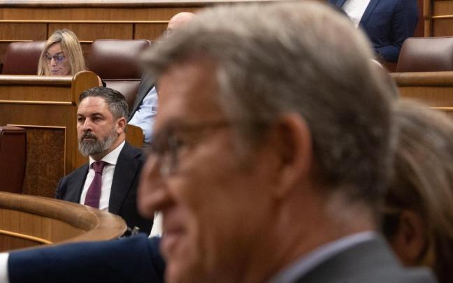 El líder de Vox, Santiago Abascal, y el del PP, Alberto Núñez Feijóo, en el pleno del Congreso de los Diputados.