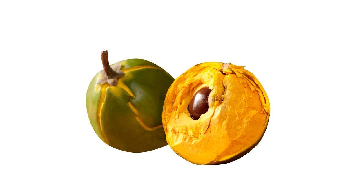 Lúcuma.