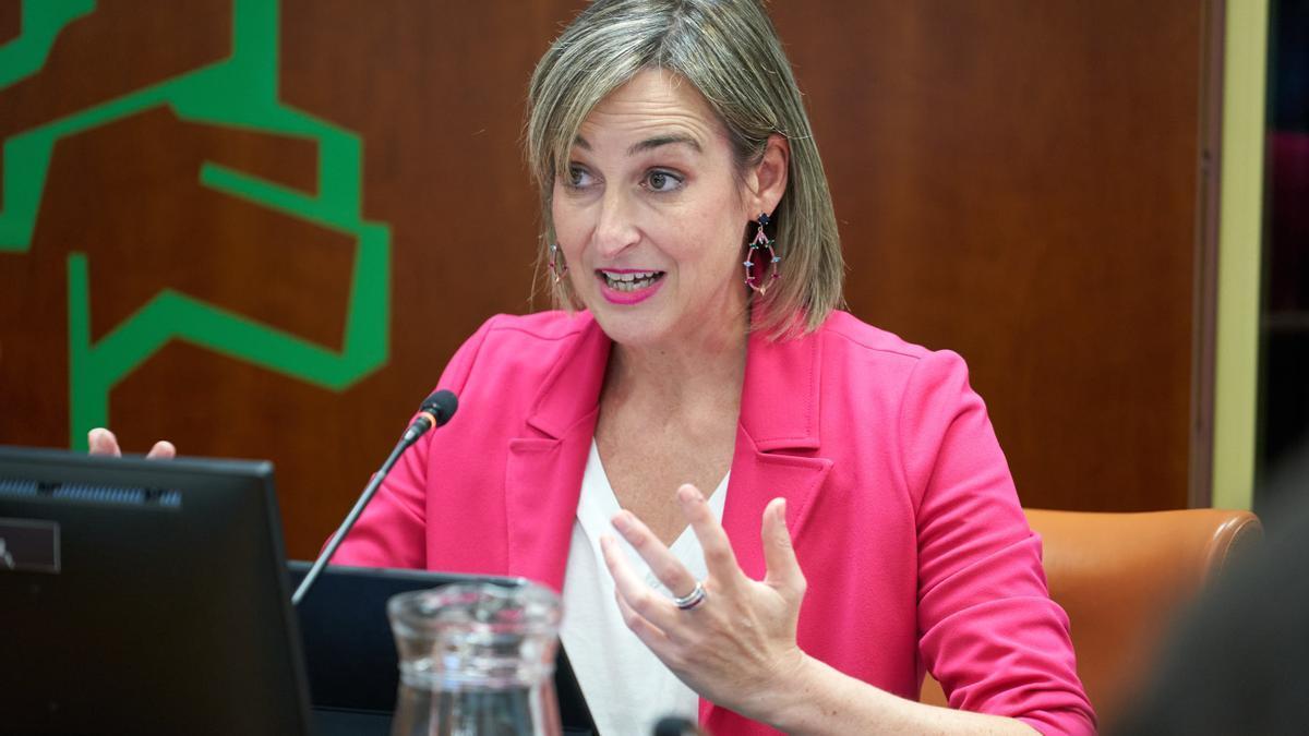 La consejera de Gobernanza, Administración Digital y Autogobierno, MarIa Ubarretxena, ha expuesto retos como las 29 transferencias pendientes