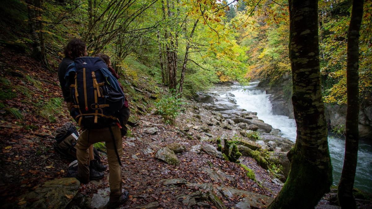 Dos personas en la Selva de Irati, Navarra