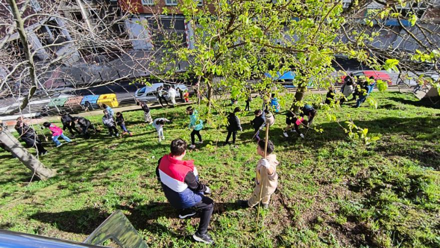 Basauri planta 100 ejemplares de roble en la calle Asturias y en Basozelai