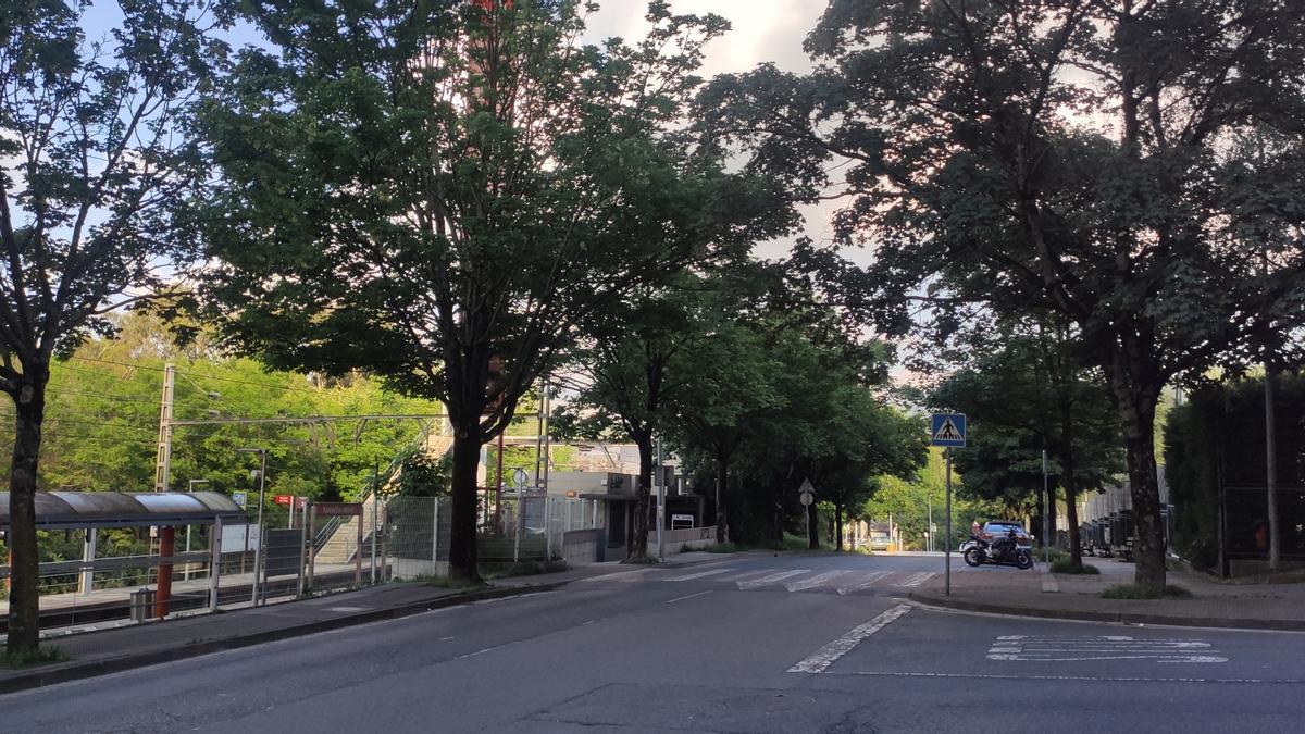 La acera paralela al trazado viario se convertirá en una zona verde para mantener el arbolado