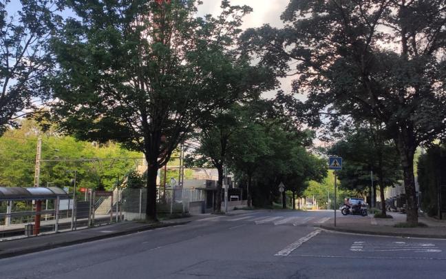 La acera paralela al trazado viario se convertirá en una zona verde para mantener el arbolado