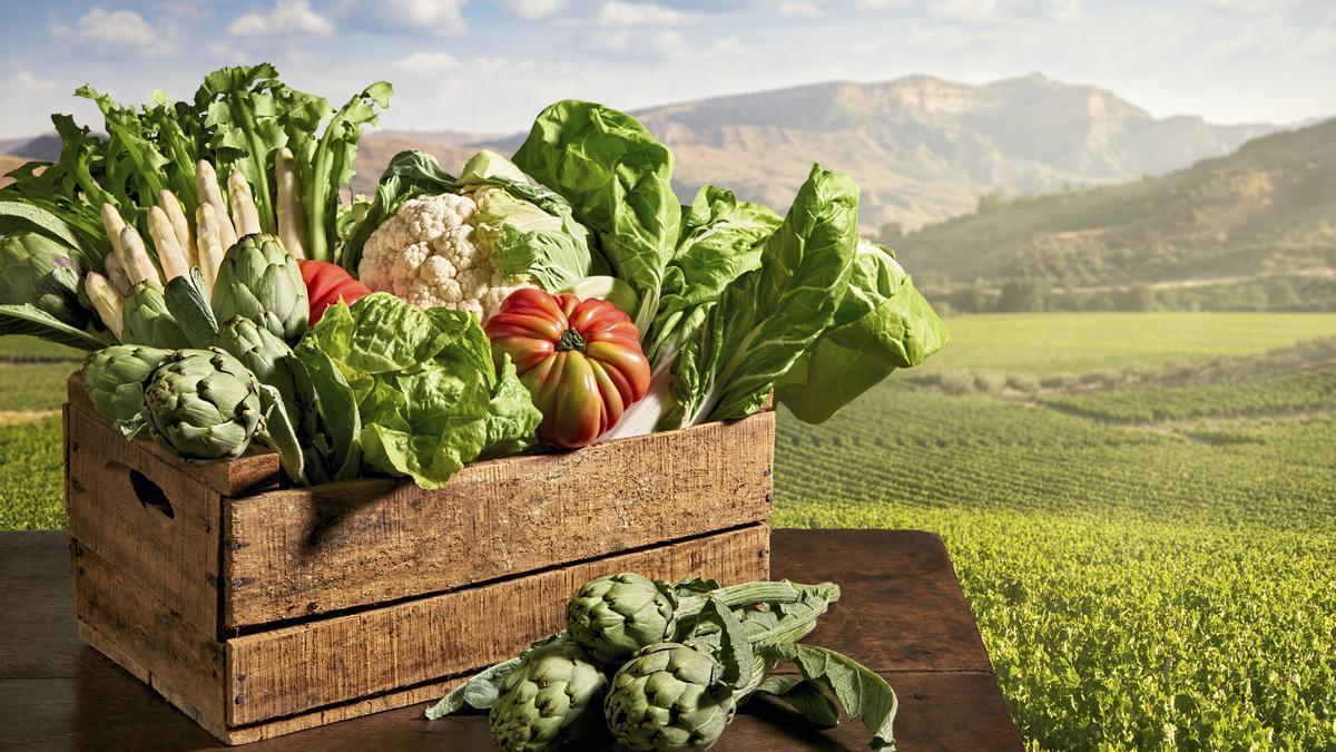 Productos de la huerta navarra.