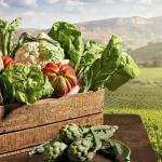 Productos de la huerta navarra.