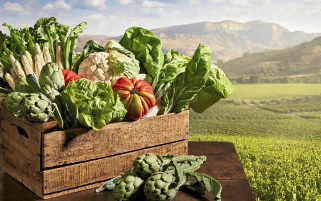 Productos de la huerta navarra. Productos de la huerta navarra.