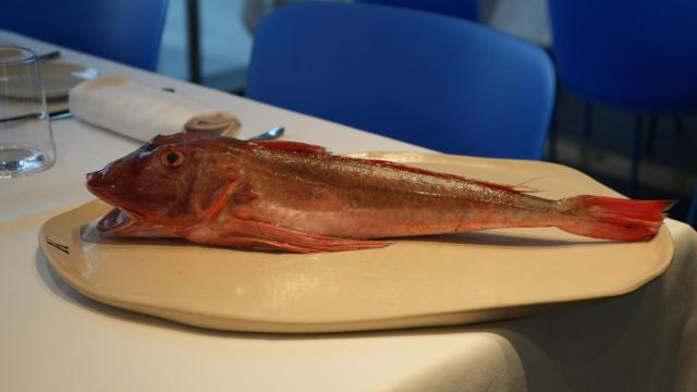 El arraigorri es uno de esos pescados que en la cocina marcan la diferencia. Su carne firme y sabrosa se presta a deliciosas preparaciones