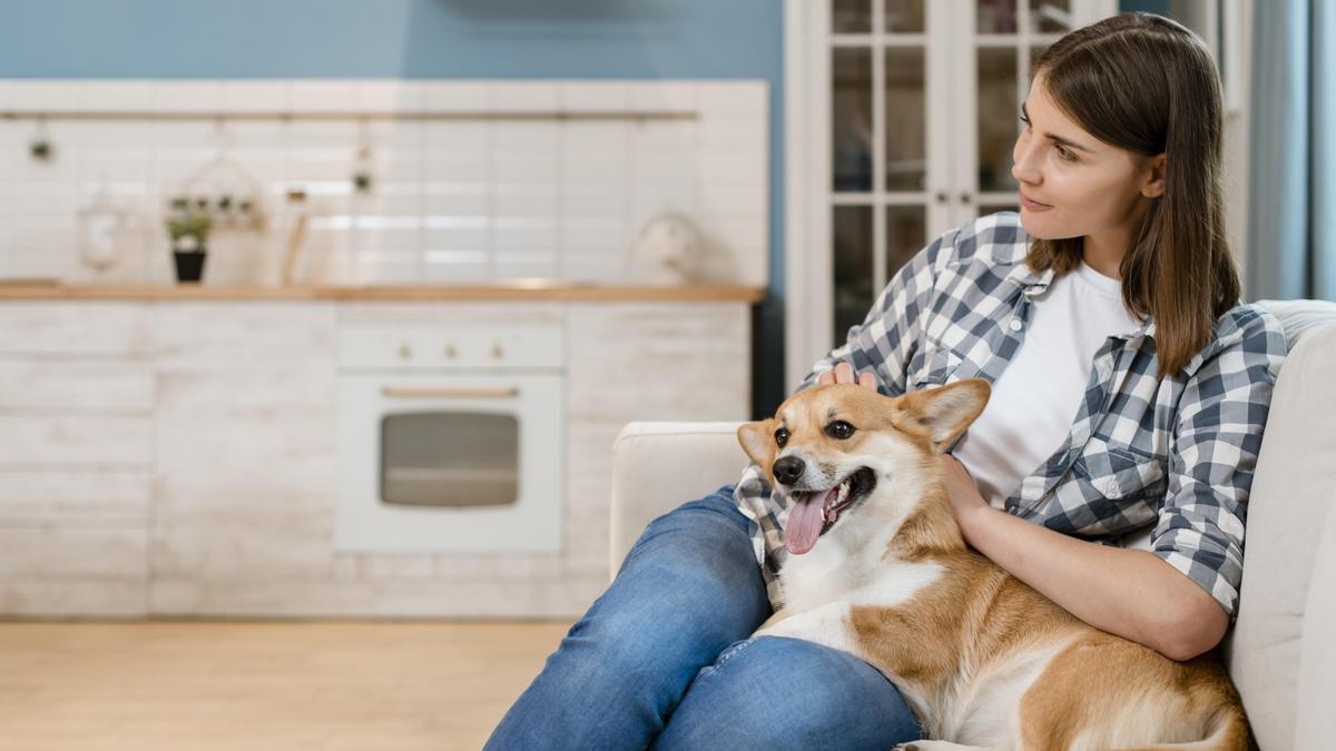 Dueña acaricia a su perro en el sofá de casa.