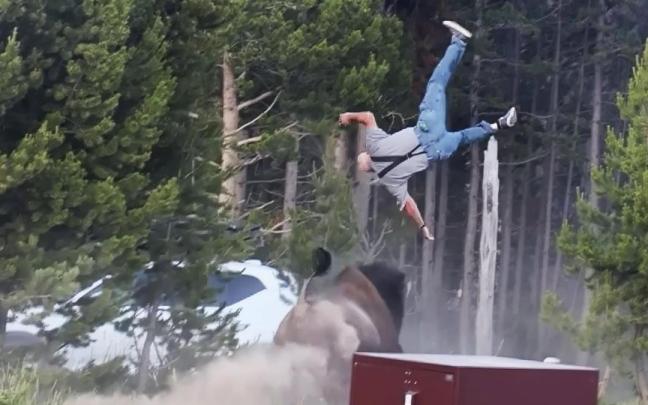 Se puede ver cómo el bisonte lanza al abuelo por los aires, hiriéndolo gravemente.