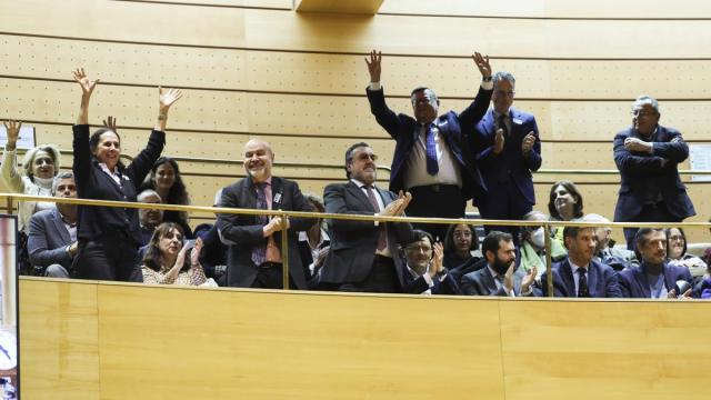 Personas celebrando desde la tribuna de invitados la reforma del artículo 49 de la Constitución
