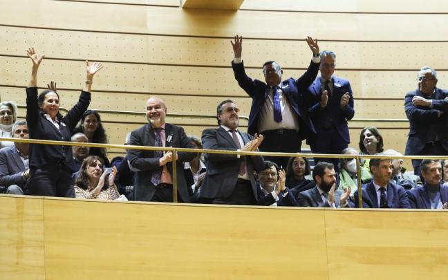 Personas celebrando desde la tribuna de invitados la reforma del artículo 49 de la Constitución / EFE Personas celebrando desde la tribuna de invitados la reforma del artículo 49 de la Constitución