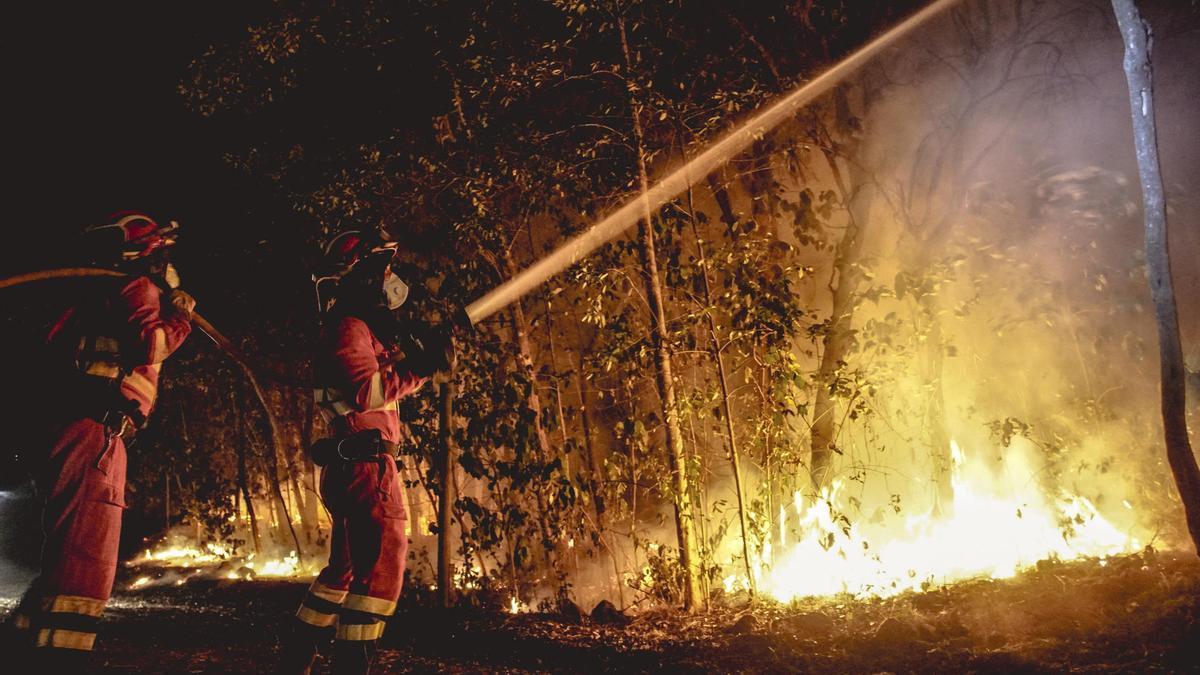 Efectivos de la UME trabajan para extinguir el incendio forestal de Tenerife.
