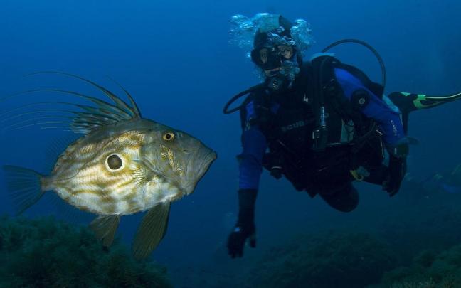 Persona buceando en las profundidades de la costa suroeste de Mallorca, Calvià. Persona buceando en las profundidades de la costa suroeste de Mallorca, Calvià.