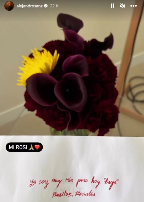 La foto que ha subido Alejandro Sanz a sus stories.