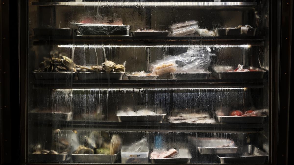 Alimentos colocados en las baldas de una nevera.