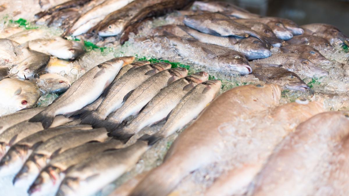 Los guisos de pescado no deben ser olvidados durante el invierno.