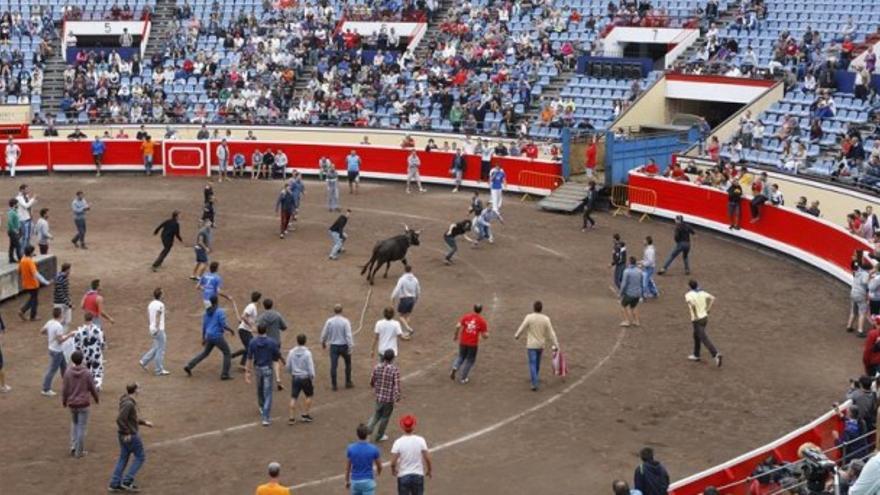 Imágenes de una sokamuturra en la plaza de Vista Alegre de Bilbao
