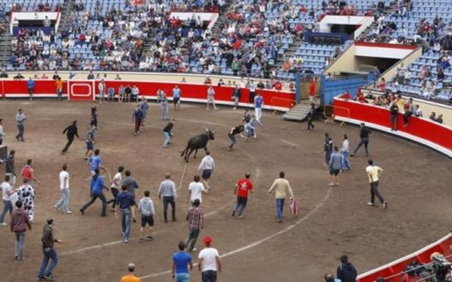 Imágenes de una sokamuturra en la plaza de Vista Alegre de Bilbao