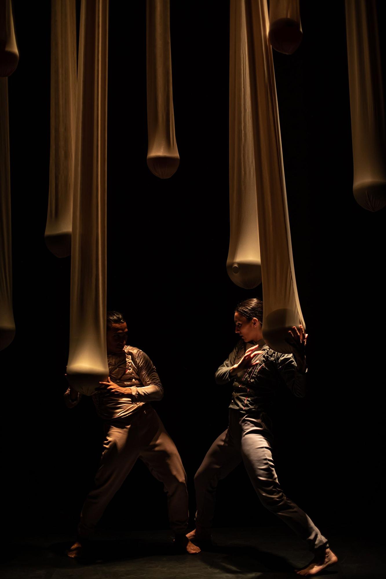 Espectáculo de danza "Gravedad cero"