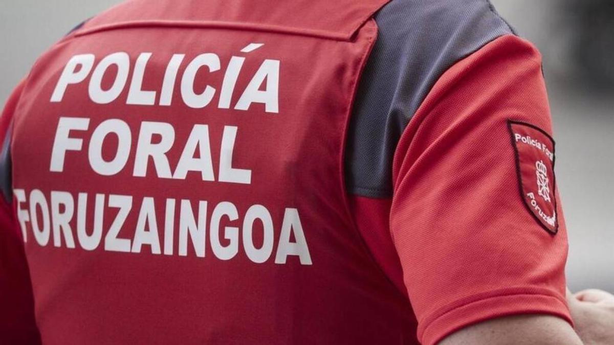 Un agente de la Policía Foral, de espaldas. Redaccion DNN