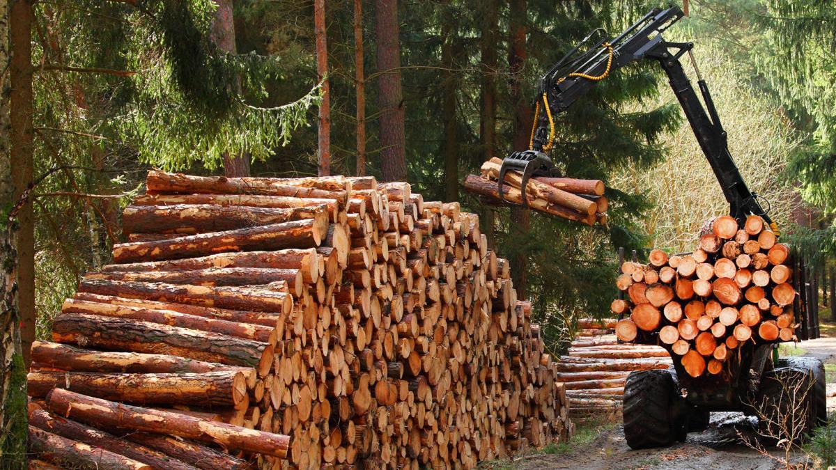 El accidente se ha producido en un monte de Artzentzales CEDIDA